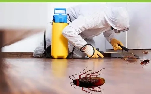 شركة مكافحة الصراصير بالرياض دقة العمل