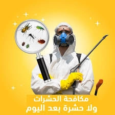 مكافحة الحشرات