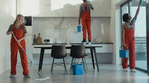أسرار شركات تنظيف منازل التي لا يعرفها الكثيرون