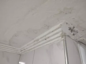 تسرب المياه تحت البلاط الخبر